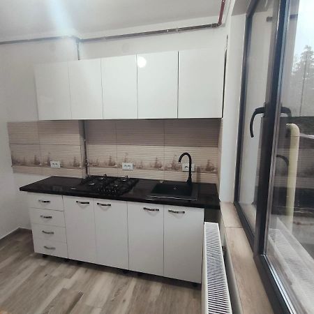 Apartament Lupeni/Straja Lägenhet Lupeni  Exteriör bild